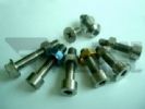 Titanium Fastener